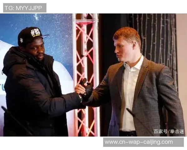 波维特金与史蒂文内激战一触即发谁将赢得拳坛荣耀之战